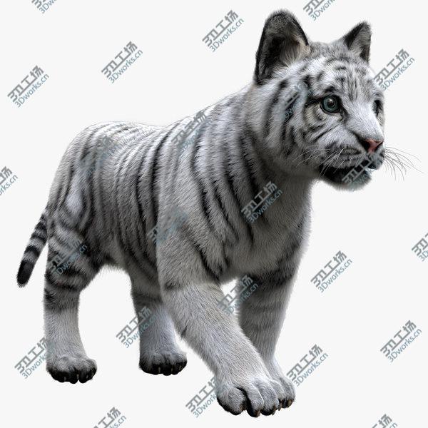 images/goods_img/20210312/3D White Tiger Baby Fur/1.jpg